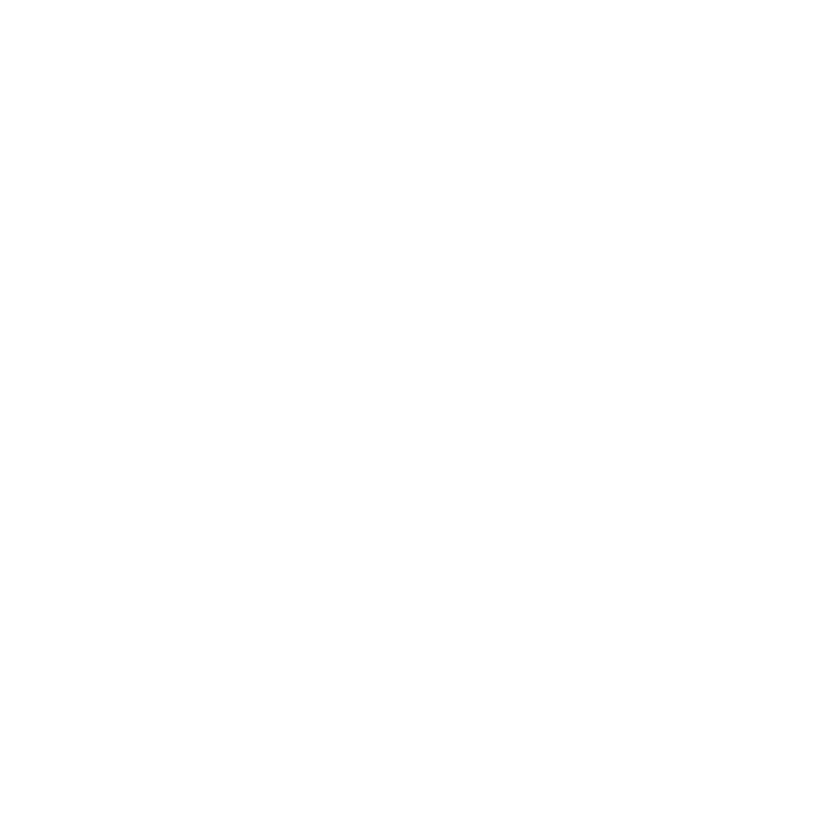 noun-5216006-FFFFFF